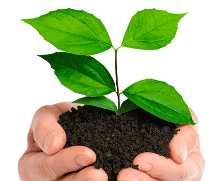 Ecocesta - Somos BCORP Ecocesta - Banner home Opt